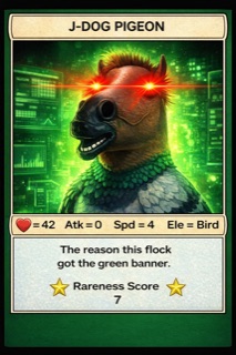 JDOGPIGEON